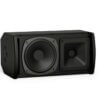 Bose ArenaMatch Utility AMU105