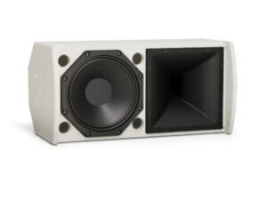 Bose ArenaMatch Utility AMU108