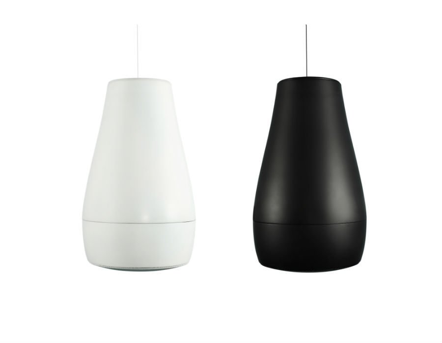 Biamp desonos P6