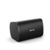 Bose DesignMax DM6SE