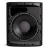 Bose DesignMax DM12SE