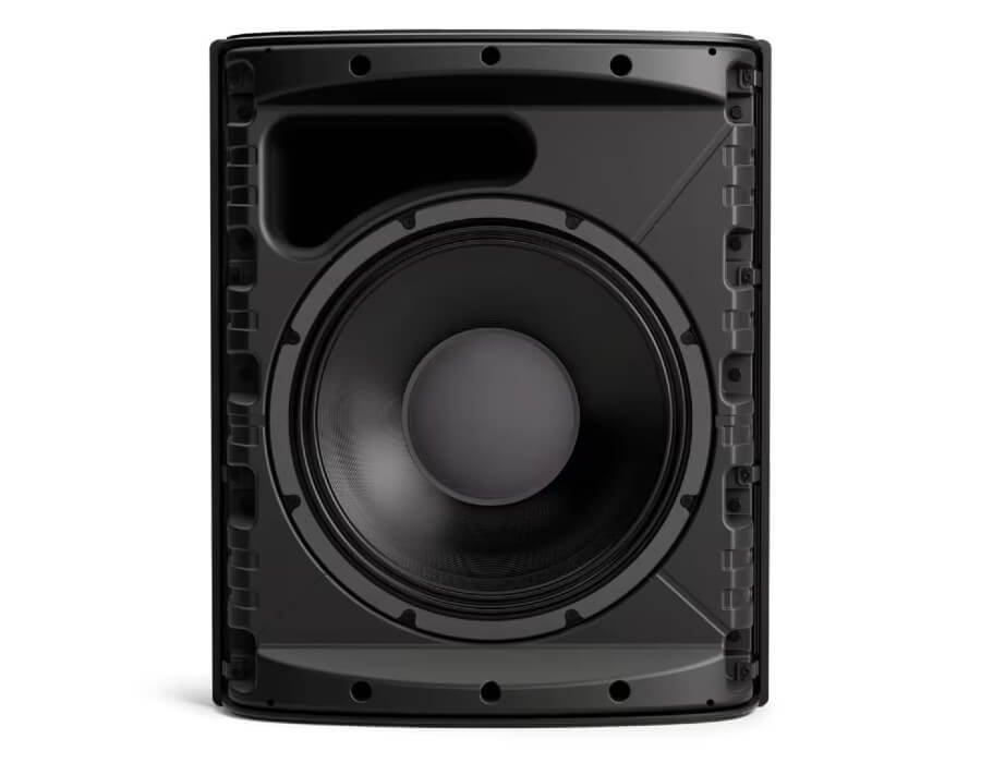 Bose DesignMax DM12SE