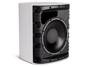 Bose DesignMax DM12SE