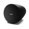 Bose DesignMax DM3P