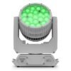 CHAUVET Professional Rogue Outcast 2X Wash M